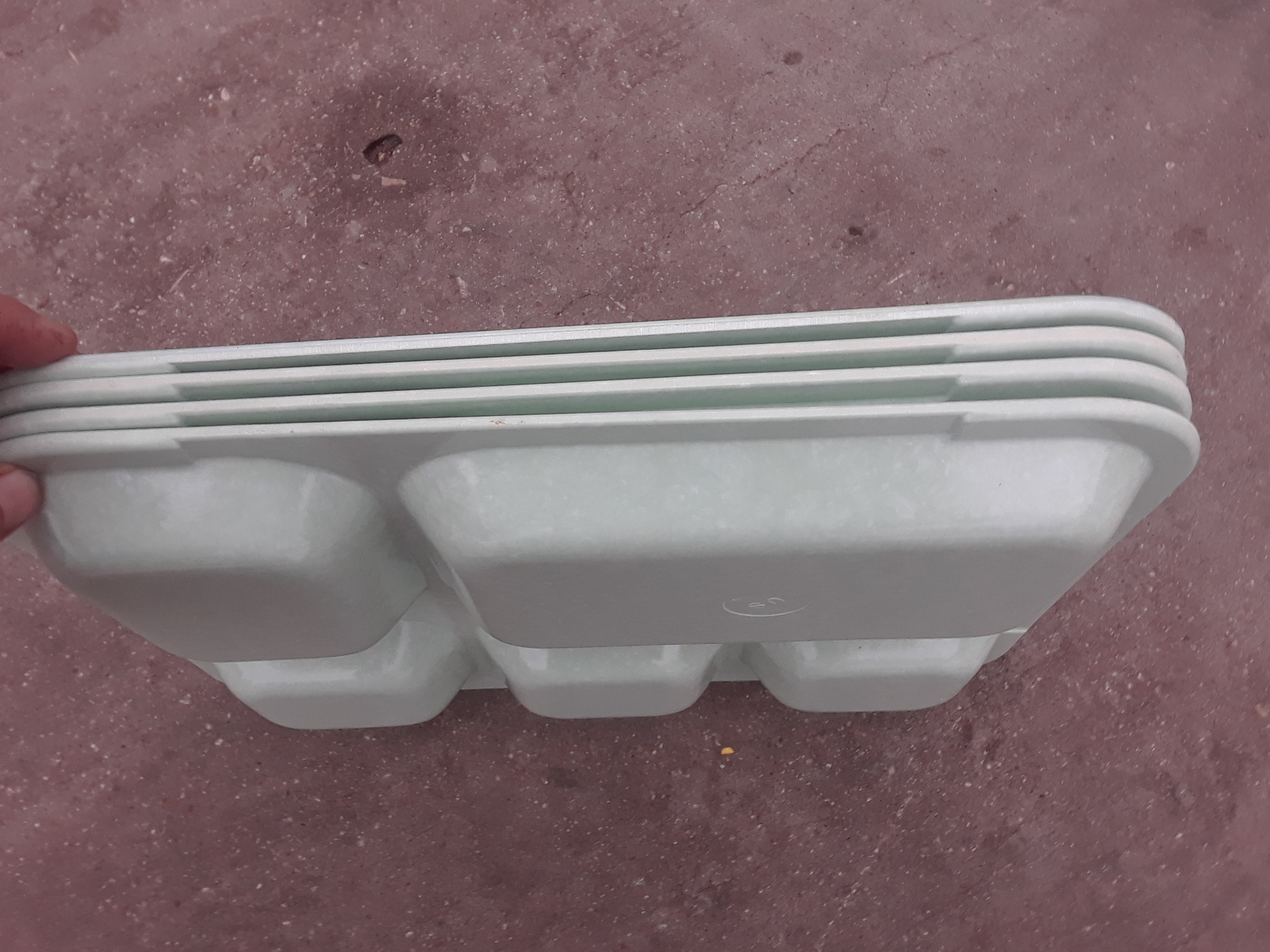 Plastic Serving Tray with Portions Set of 3 trays